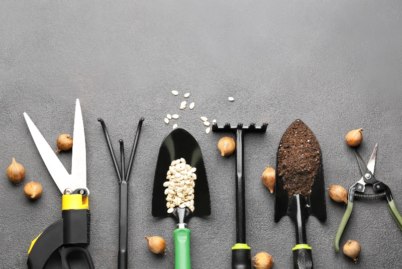 Transform Your Garden with the Best Supplies