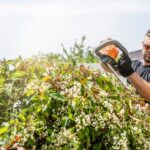 Trim Your Garden with a Hedge Trimmer That Gets the Job Done
