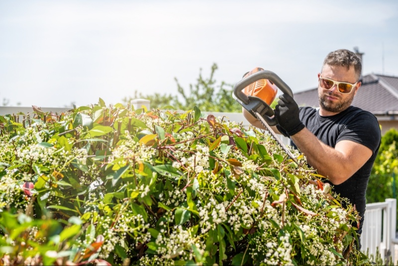 Trim Your Garden with a Hedge Trimmer That Gets the Job Done