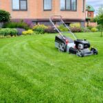 A Lawn Mower That Keeps Your Yard Looking Great